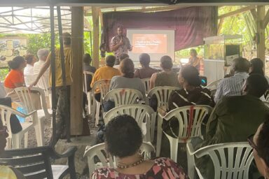 Présentation des 19 lauréats de l'Appel à Projet Chlordécone 2025