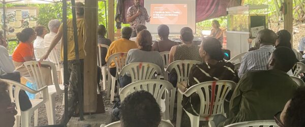 Présentation des 19 lauréats de l'Appel à Projet Chlordécone 2025