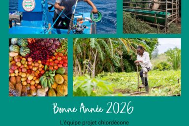 Bonne année 2026. L'équipe projet chlordécone vous présente ses meilleurs vœux.