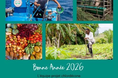Bonne année 2026. L'équipe projet chlordécone vous présente ses meilleurs vœux. - Agrandir l'image, fenêtre modale