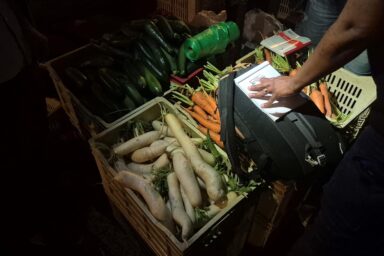 contrôle des produits alimentaires - analyse chlordécone