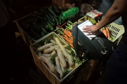 contrôle des produits alimentaires - analyse chlordécone - Agrandir l'image, fenêtre modale