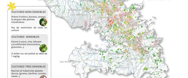 Carte de Martinique indiquant les niveaux de contamination des sols par la chlordécone au 2 aout 2025