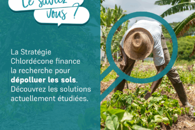 Agrandir l'image 1 sur 4, fenêtre modale