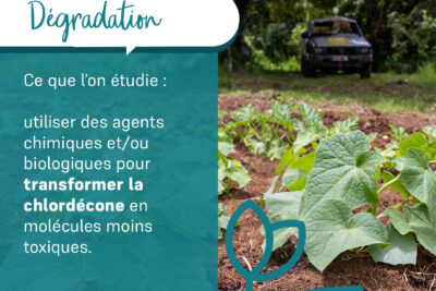 Agrandir l'image 4 sur 4, fenêtre modale