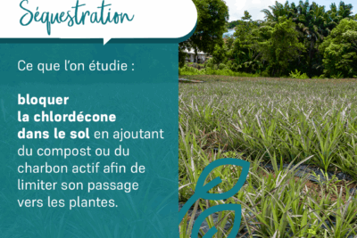 Agrandir l'image 2 sur 4, fenêtre modale