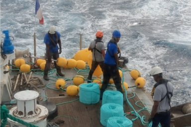 DCP collectif en Guadeloupe
