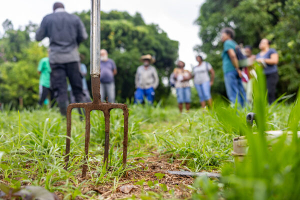 Atelier jardinage par l'association fredon