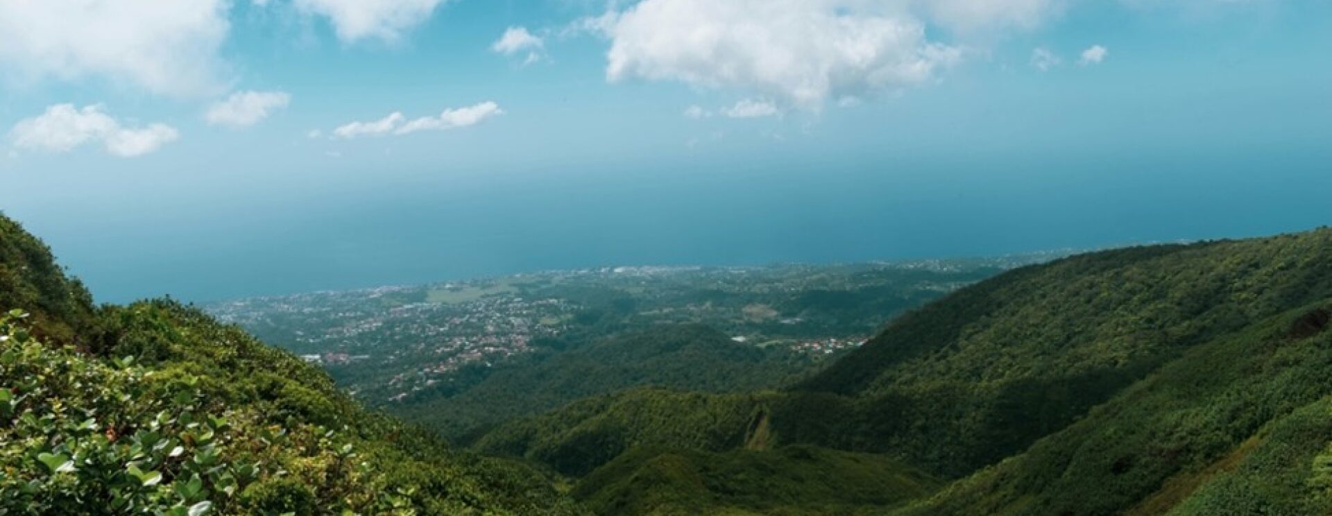 Vue depuis les hauteurs du volcan, surplombant la forêt tropicale et le littoral.