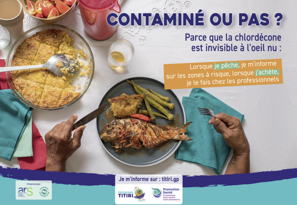 Main servant un gratin local à côté d’un poisson entier avec gombos, illustrant la vigilance alimentaire face à la chlordécone. - Agrandir l'image, fenêtre modale