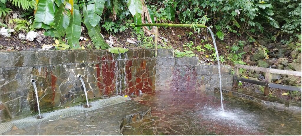 Source d'eau naturelle aménagée en pleine nature, avec plusieurs tuyaux en pierre et bambou déversant de l’eau - Agrandir l'image, fenêtre modale