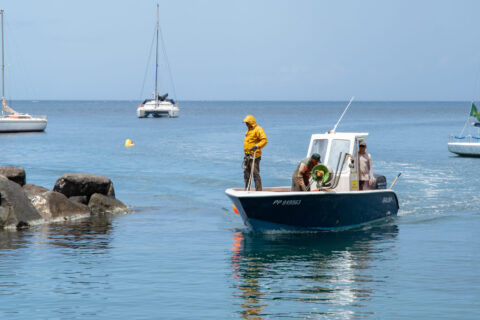Trois pêcheurs antillais sur une petite embarcation bleue en mer, entourés de voiliers, au large des côtes.