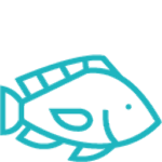 pictogramme bleu représentant un tilapia - Agrandir l'image, fenêtre modale