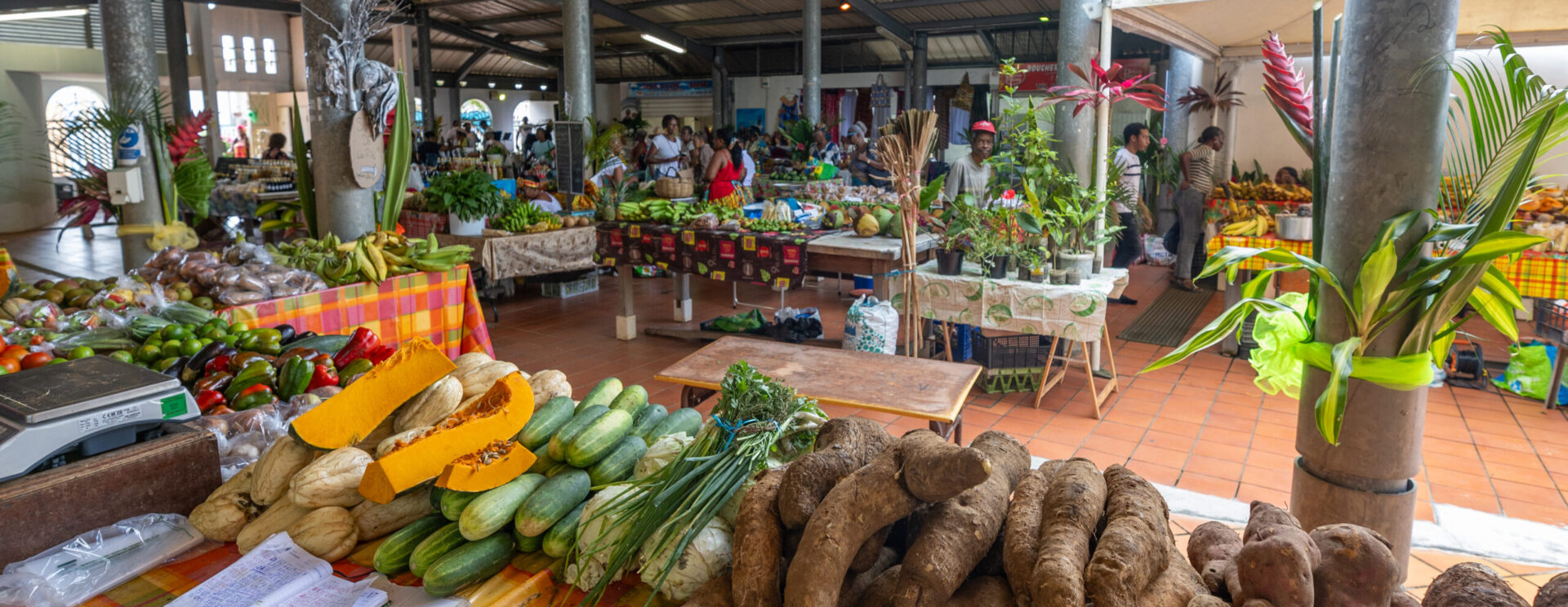 Étals de légumes tropicaux sur un marché couvert aux Antilles, avec des produits locaux comme l’igname, la patate douce et le concombre