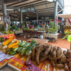 Étals de légumes tropicaux sur un marché couvert aux Antilles, avec des produits locaux comme l’igname, la patate douce et le concombre