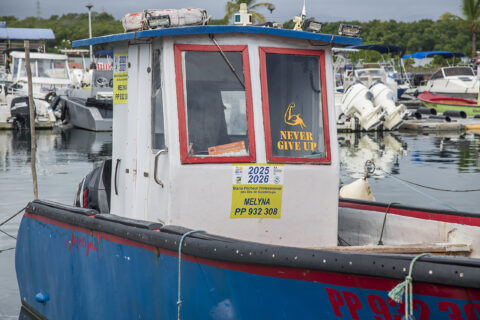Bateau de pêche professionnelle affichant un macaron d'identification