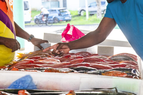 Client choisissant du poisson frais sur un étal de marché en Guadeloupe ou en Martinique