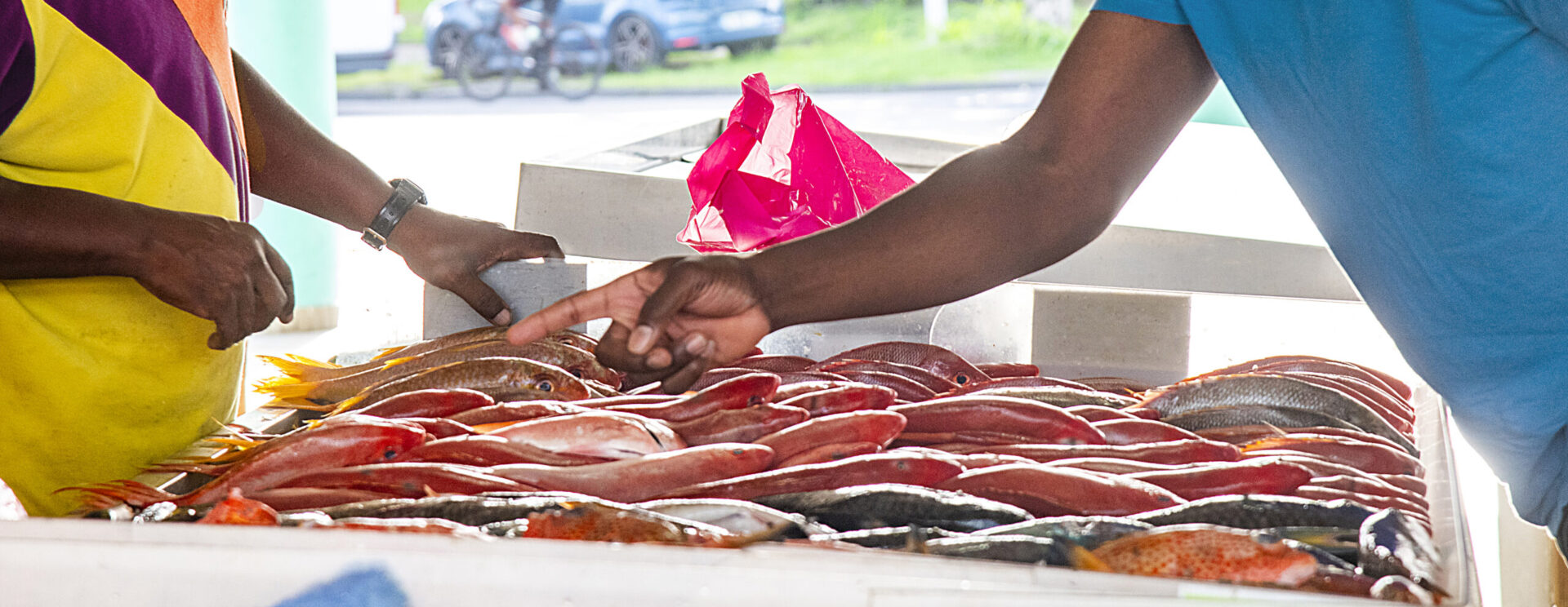 Client choisissant du poisson frais sur un étal de marché en Guadeloupe ou en Martinique