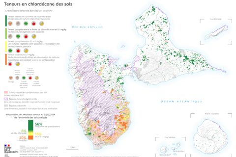 Carte de Guadeloupe indiquant les niveaux de contamination des sols par la chlordécone au 31 décembre 2024