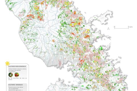 Carte de Martinique indiquant les niveaux de contamination des sols par la chlordécone au 2 aout 2025