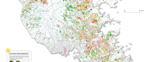 Carte de Martinique indiquant les niveaux de contamination des sols par la chlordécone au 2 aout 2025