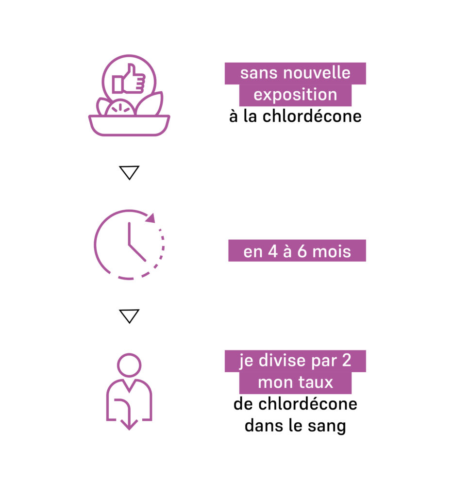 infographie indiquant qu'en l'absence de nouvelle exposition à la chlordécone, en 4 à 6 mois, mon taux de chlordécone dans le sang est divisé par deux - Agrandir l'image, fenêtre modale