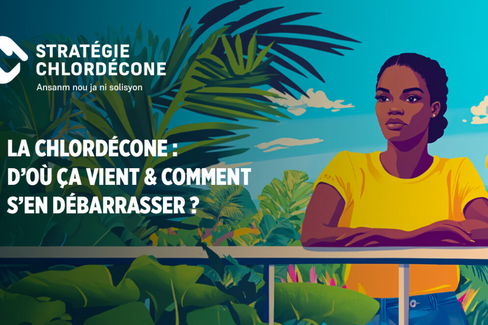 Vidéo sur "La chlordécone d’où ça vient & comment s'en débarrasser"